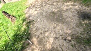 лесное озеро. нашли новое озеро, обследует, есть ли тут 🐠🐋🐟