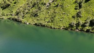 Туманное озеро