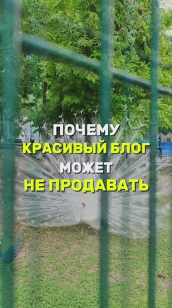 ПОЧЕМУ ДАЖЕ КРАСИВЫЙ БЛОГ МОЖЕТ НЕ ПРОDАВАТЬ?