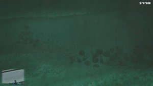 рыбка плещется в пруду