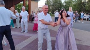 Роза чайная...... 24.05.25.