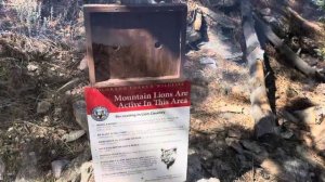 КОЛОРАДО часть 2. ПУТЕШЕСТВИЕ ПО АМЕРИКЕ . Каньон Эльдо