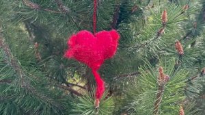 ИГРУШКИ: Сердце дракона вместо айфона