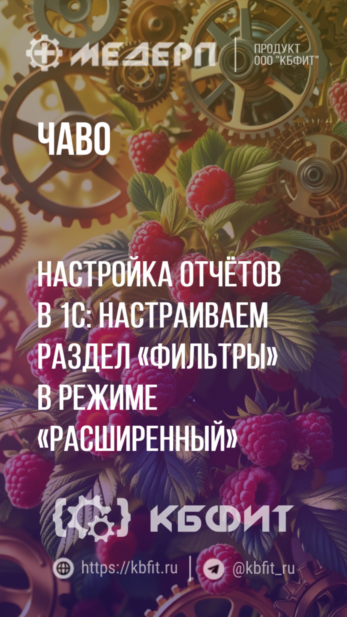 КБФИТ: МЕДЕРП.ЧАВО:Настройка отчётов в 1С: настраиваем раздел «Фильтры» в режиме «Расширенный». Ч.1.