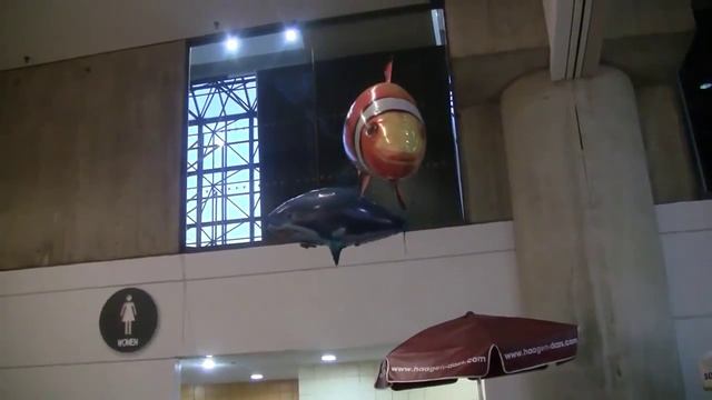 Летающие рыбы на радиоуправлении: Акула и Рыба клоун смотреть онлайн