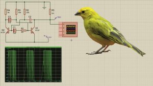 Имитатор трели канарейки!