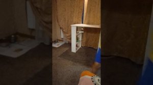 я умея дома