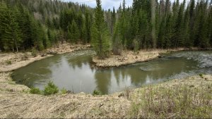 Вело ПВД. Маганск - Верхняя Базаиха - Зыково. 09.05.2025