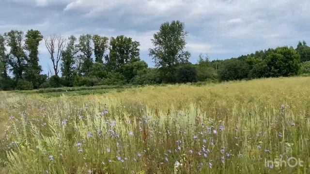 Я в Загарино Ульяновской области: Прогулка на велосип?