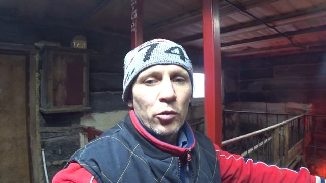 42 И вновь свиноводческие будниКак вылечить поросё
