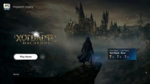 Тема PlayStation 5 для Playnite.(Демонстрация)