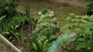 26-05-2025  наш дом