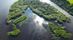 Природа Коми с высоты