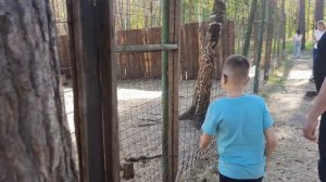 База отдыха, гуляем 26-05-2025