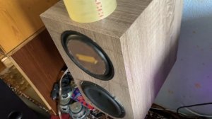 Что может динамик 6.5 дюйма? Низы при правильной настро?