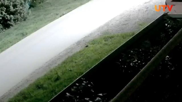 Приключения ежика в Абдулино зафиксировали камеры «У? смотреть онлайн