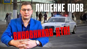 Лишение прав виновников ДТП внесли в Госдуму!