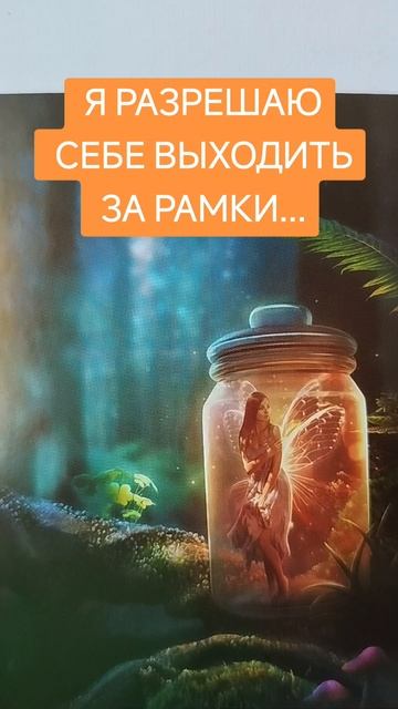 я разрешаю себе выходить за рамки дозволенного.mp4