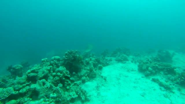 freediving Egypt Taba 2ч  фридайвинг нырок на глубину в Египте