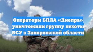 Операторы БПЛА «Днепра» уничтожили группу пехоты ВСУ в Запорожской области