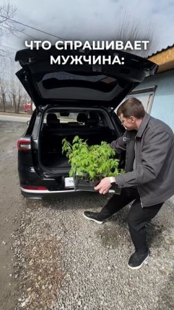 По каким критериям садоводу выбирать автомобиль?