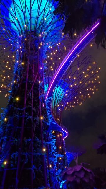 Gardens by the Bay