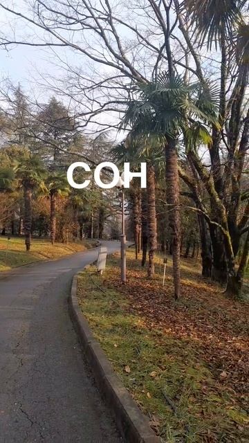 любовь к себе
