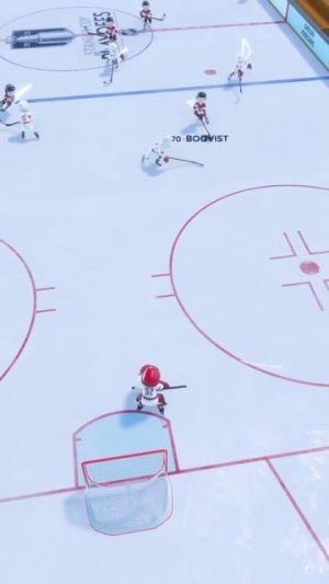 A Spectacular Goal #hockeyverse