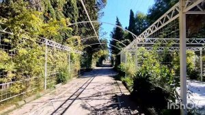 Гудаута Абхазия Gudauta  Abkhazia