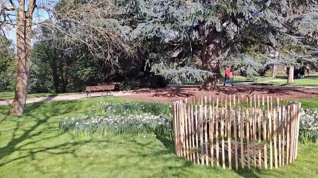 Ботанический сад весной. Франция Руан. ⚘️🪻🌷🪴🍀 смотреть онлайн