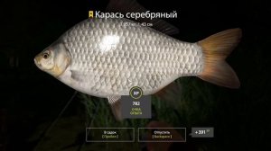 РР4  Оз.Медное Трофей [Карась серебряный / Карасекарп /Л