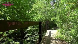 111.ПЕШИЕ ПРОГУЛКИ.25 мая2025.vovich video.