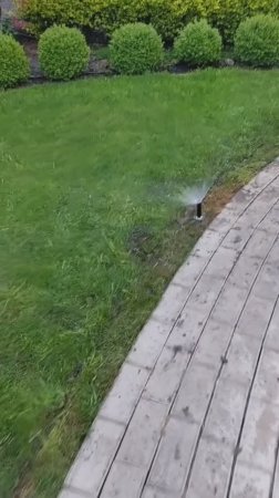 Полив газона .mp4