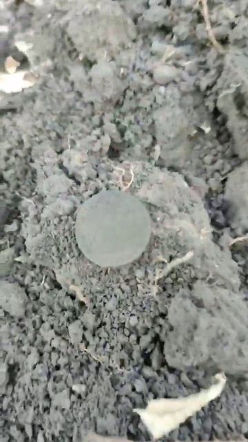 3 копійки 1924 Shorts#коп#металлоискатель #популярное #моне? смотреть онлайн