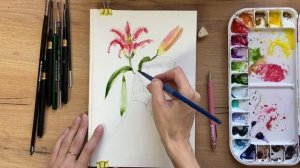Рисуем цветы. Сочные лилии акварелью