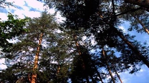 КУПИЛ КВАРТИРУ НЕДВИЖИМОСТЬ