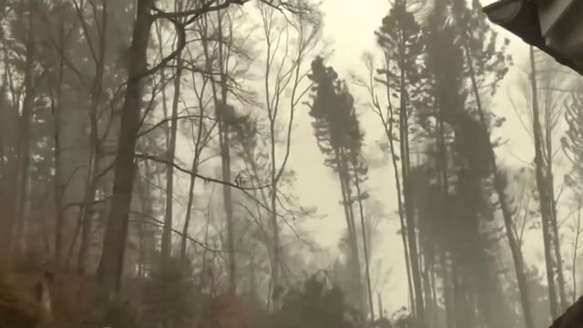 Быстрособираемые Дома, Которые Взорвут Тебе Мозг смотреть онлайн