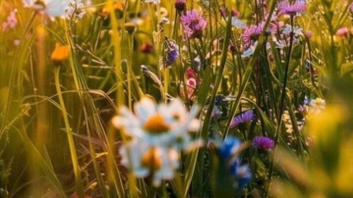 Музыкальное пожелание доброго утра 🌞 Идеальный старт недели!  #доброеутропонедельника