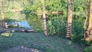 номер для БРОНИ 8 919 231 74 77