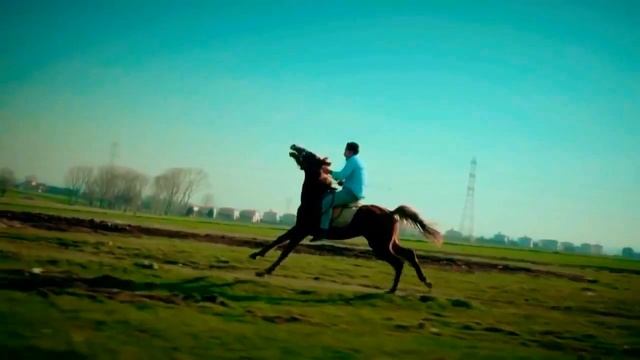 Самый мощный видео про любовь 2017 года смотреть онлайн