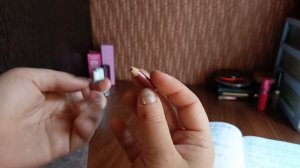 ProjektPan финал 2024