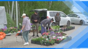 26.05.2025   Киселевчане побывали на «дачной субботе»