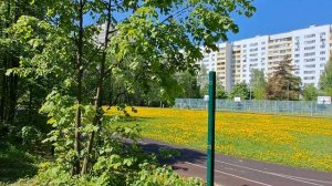 Пешком Из 11 в 12 микрорайон. Зеленоград. Иду гуляю. Вторая половина Мая.