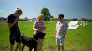 Реальный отзыв владельца будущего СИП дома. СИП дом отзывы