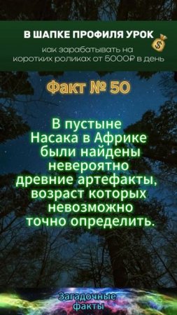 факт (7)