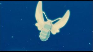 Карлик нос «За белым стеклом луны…» песня