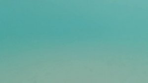 4К подводная съемка DJI Osmo Action