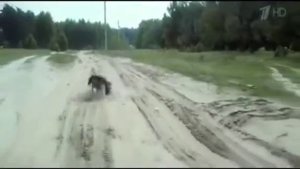 обнимая небо