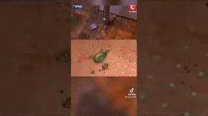 Саша Фокин играет в компьютер это душа 🤣🤣🤣🤣!!!!!!!