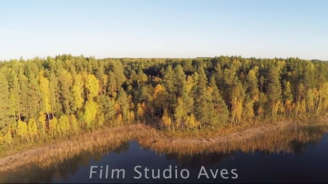 Заповедными тропами Беларуси 4K | Film Studio Aves смотреть онлайн
